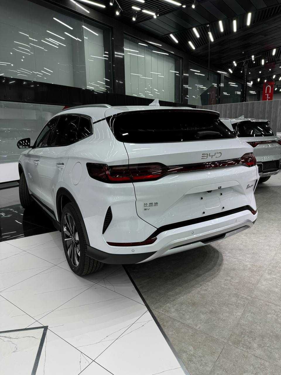 Byd song restyling Notarius 2024/2025