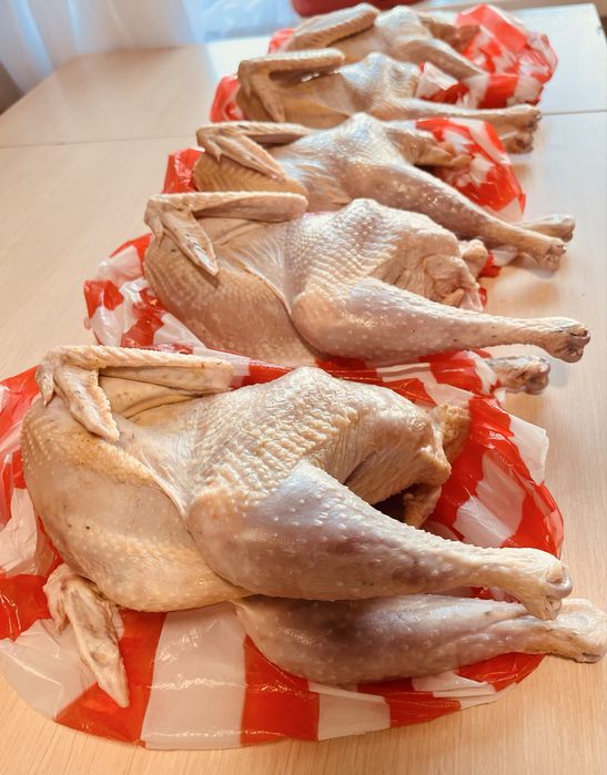 Мясо домашних петушков