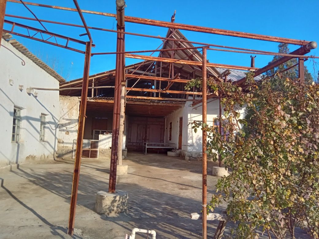Sug'urtasi bor Hamma sharoitlar yaxshi
