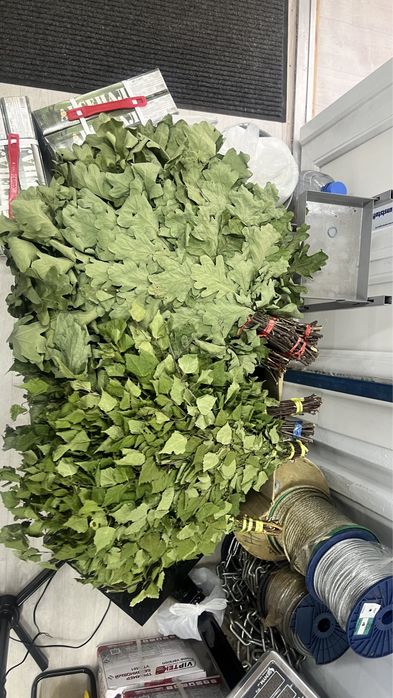 Веники банные березовые и дубовые
