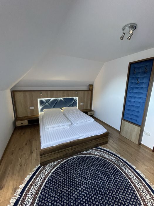 Vila Platon disponibila pentru Revelion