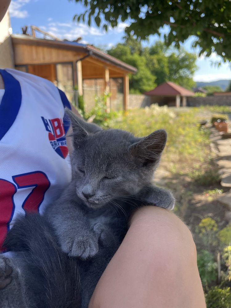 Малки лапички търсят големи сърца :)
