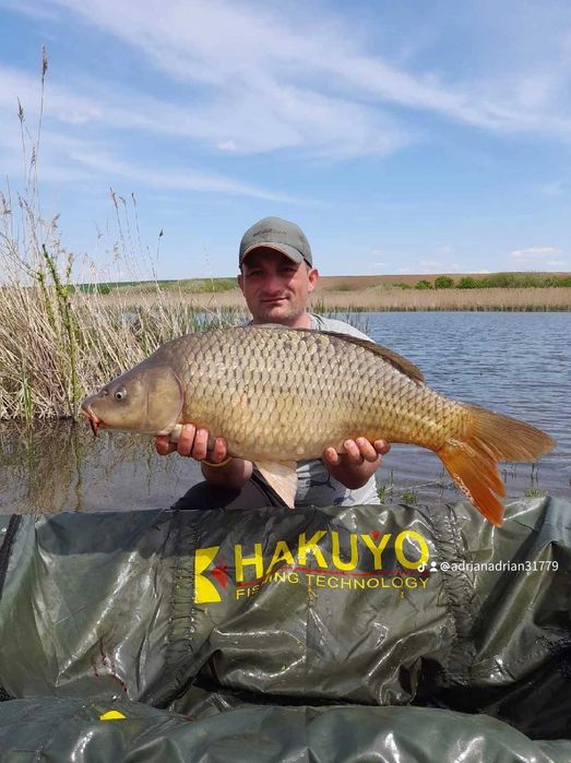 Vand boilies de calitate.