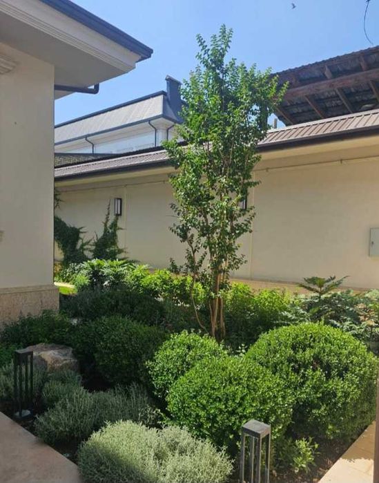 Посадка растений. Уход газонов.