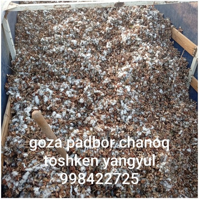 Сомон прес,мош прес,беда прес