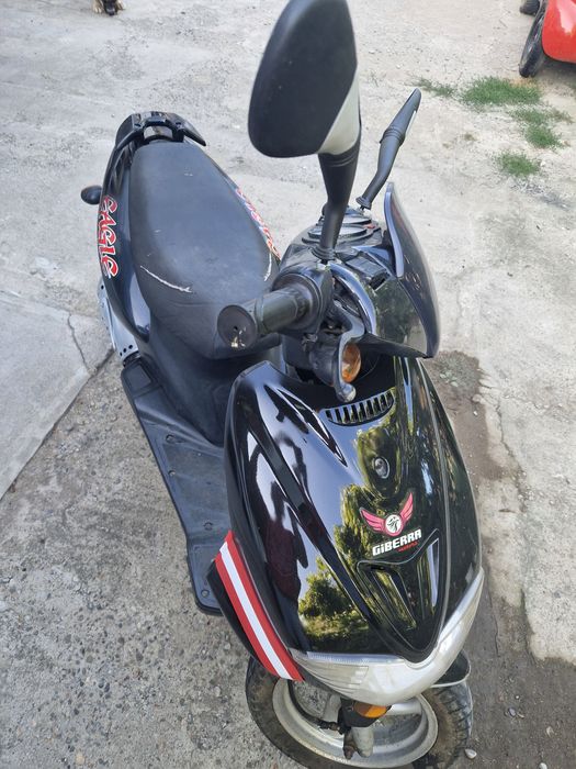 Scuter gilbeera 2