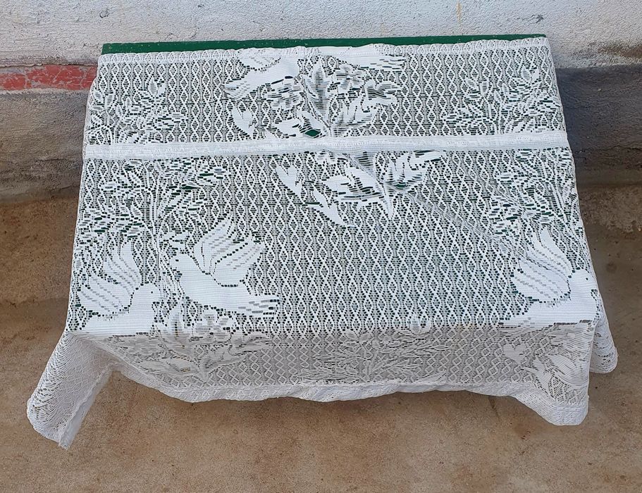 Fata Brodata de masa