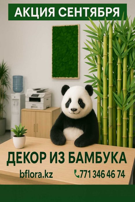 Озеленение офисов и кафе! Мох, Искусственные и Живые цветы. Флорист++