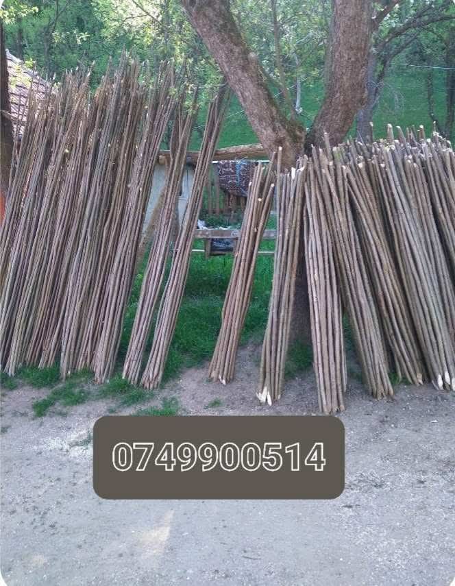 Pari de fasole și de rosii la 2 lei bucata ân legatură sunt 20 de bucă
