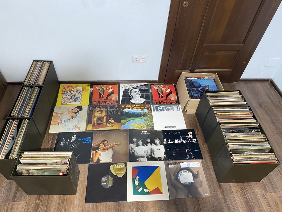 307 Discuri cu vinil