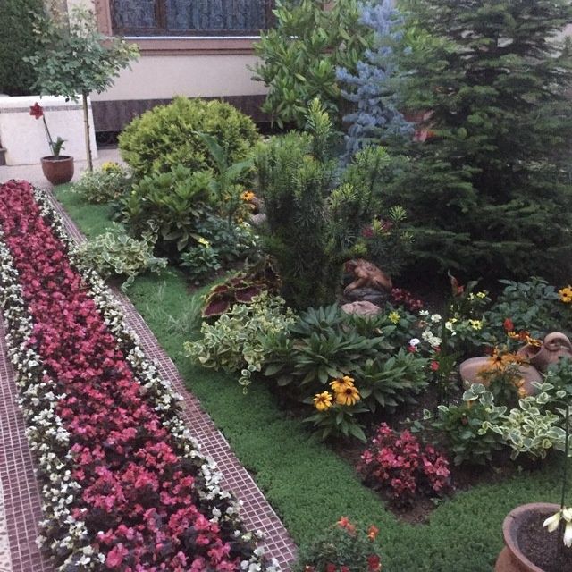 Газон ва автополив