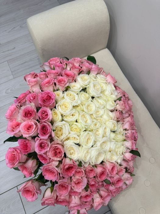 Цветы розы свежие