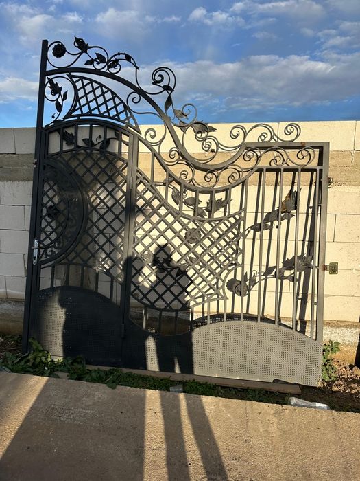 Vand porți 2 buc la 2.65 bucata +poarta mică incadrată