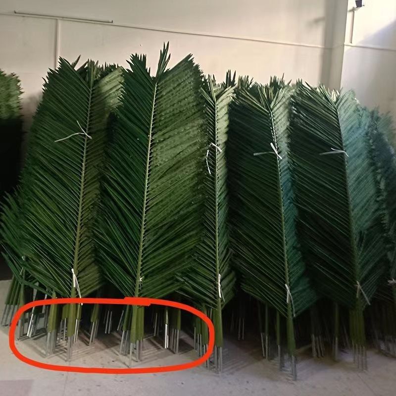 Sifati narxidan baland sunniy palma daraxtlari tayorlab beramiz.