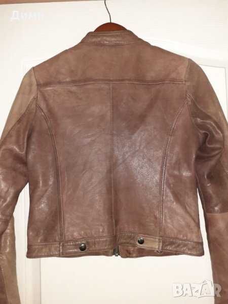 Маркови якета от естествена кожа Roskandblue Gipsy Zara