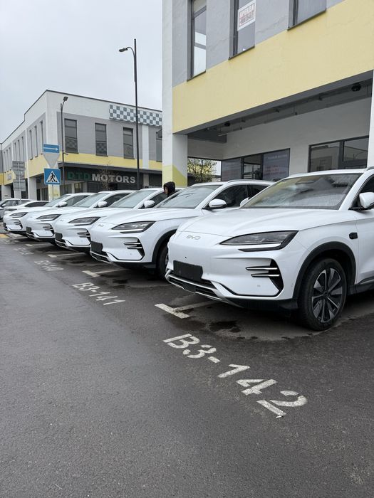 Byd chempion retaling 2026