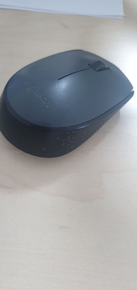 Mouse Logitech M170