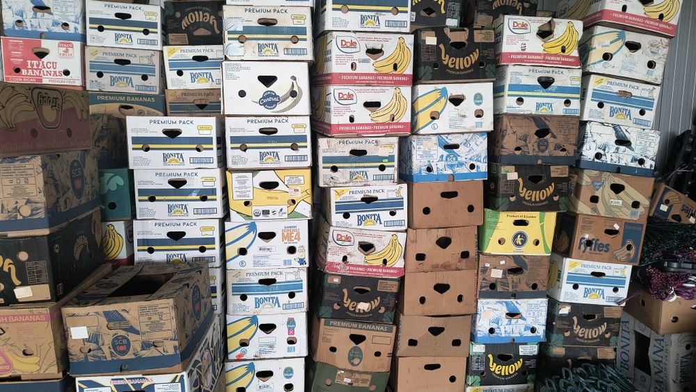 Baxuri banane fructe legume