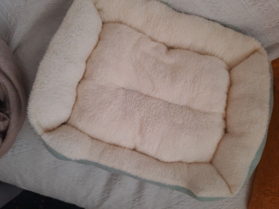 Легло за домашни любимци