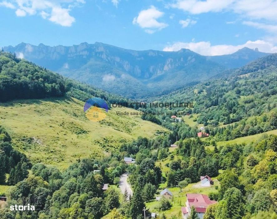 TEREN Izvoru Muntelui, langa orasul BICAZ