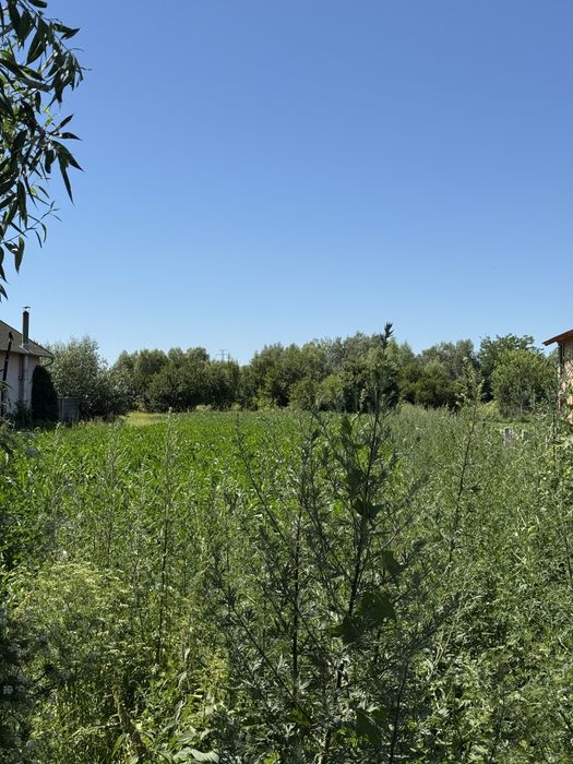 Vand teren 2000 mp Halchiu, 90000 € minus 30% pana la 31.12.2025