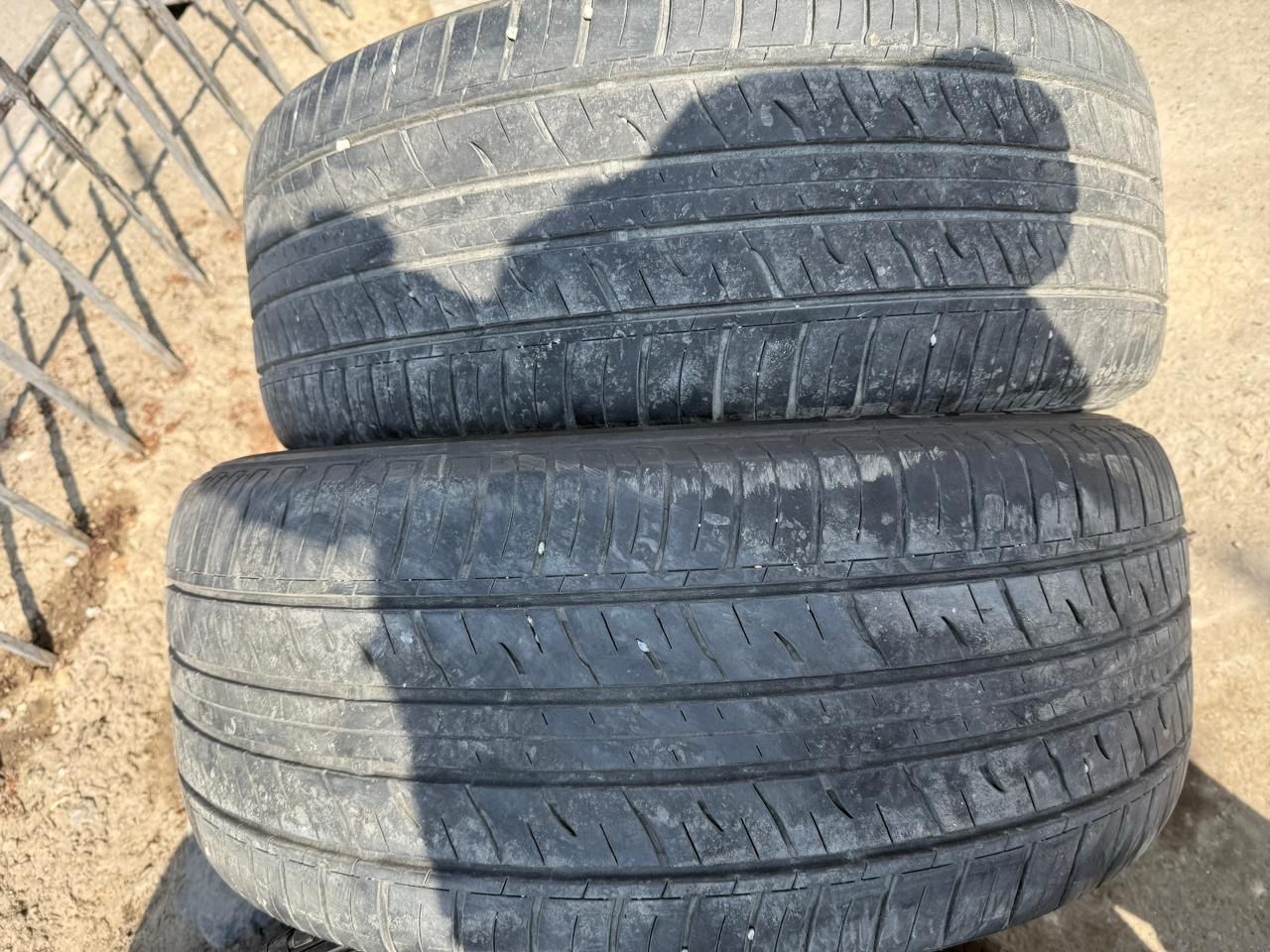 Авто шины Dunlop