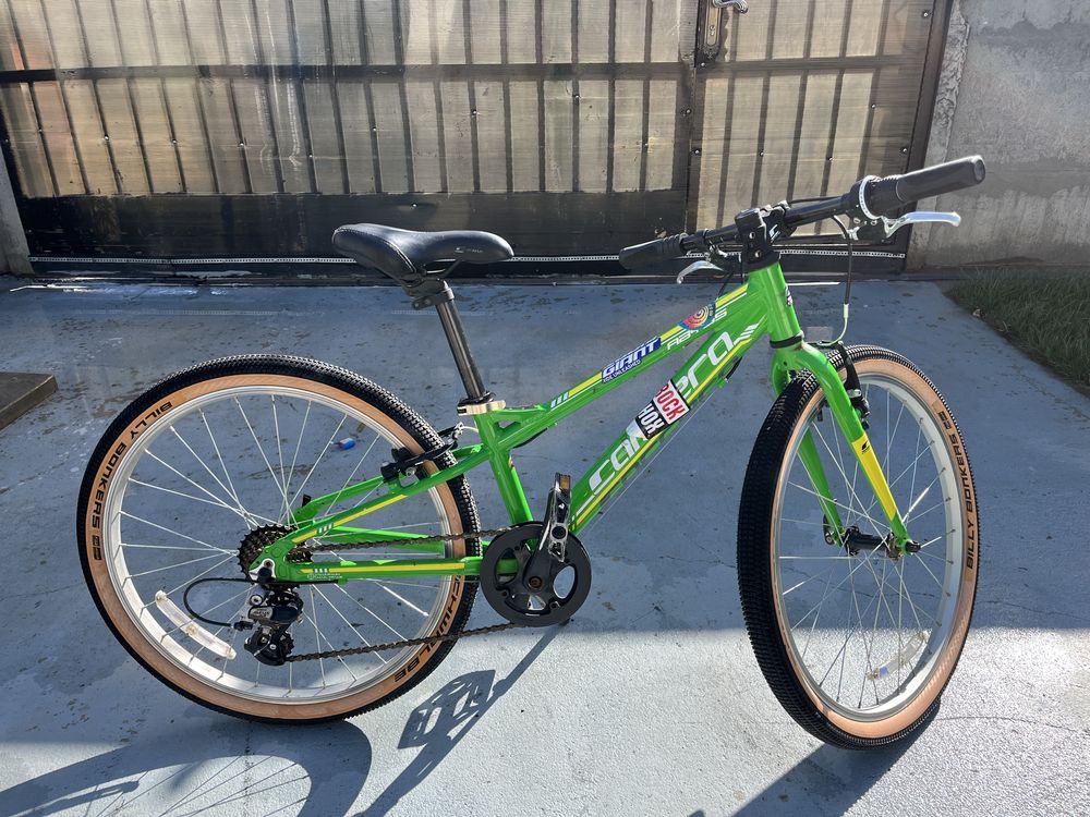 Bicicleta copii Carrera roti 24”