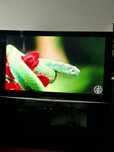 Televizor Panasonic TH-50PY80OP