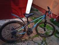 Bicicletă BR CYCLE STOAM 9