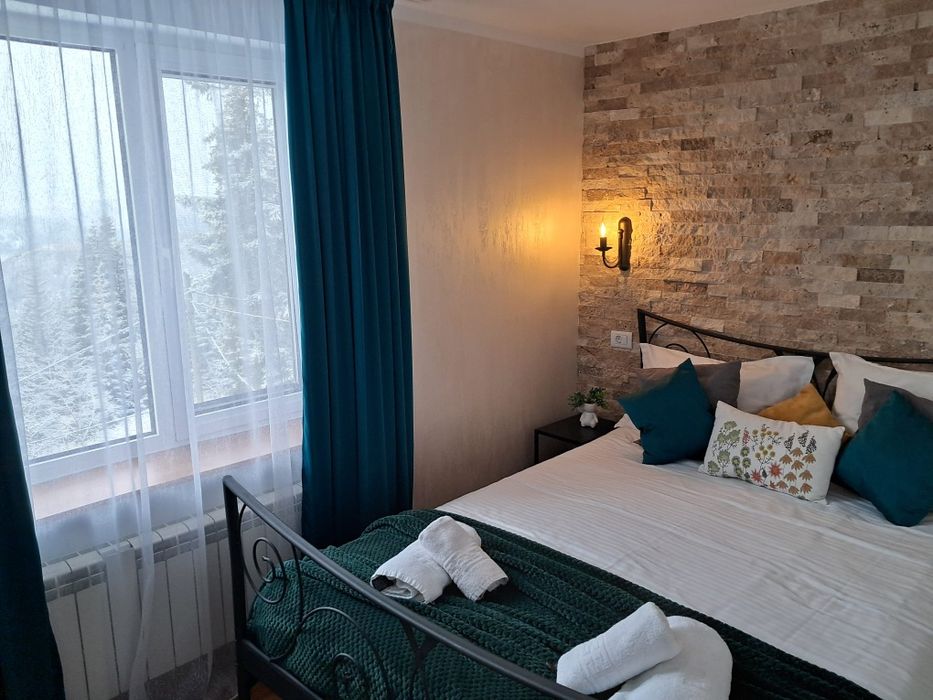 Închiriez cabana/vila in statiunea Ranca - Transalpina - SKY VIEW