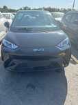 Byd seagull yangi