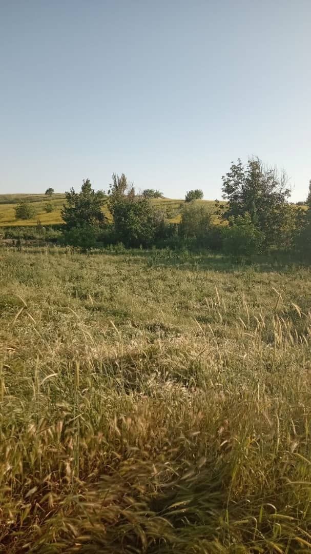 Участка сотилади, 12 сотих