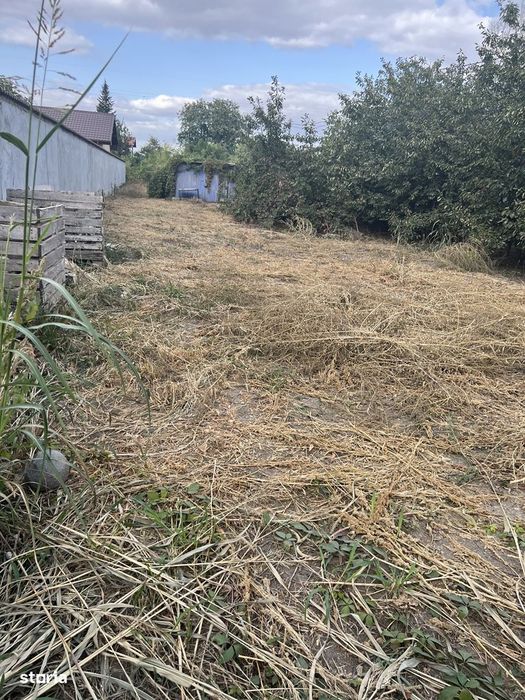 vand teren ARABIL 3E/mp sat Vasile Alexandrii Branistea pret 12.684 E