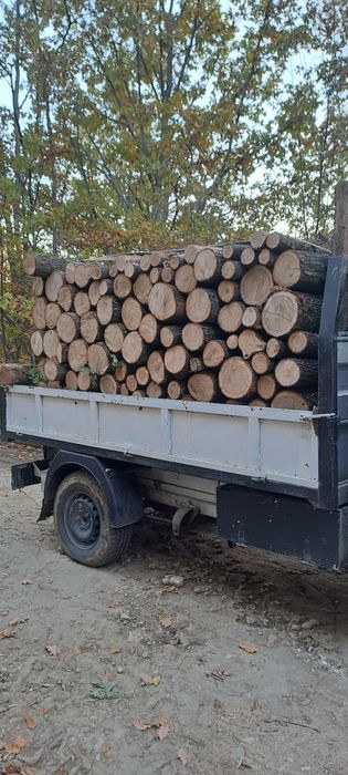 Vand lemne transport gratuit