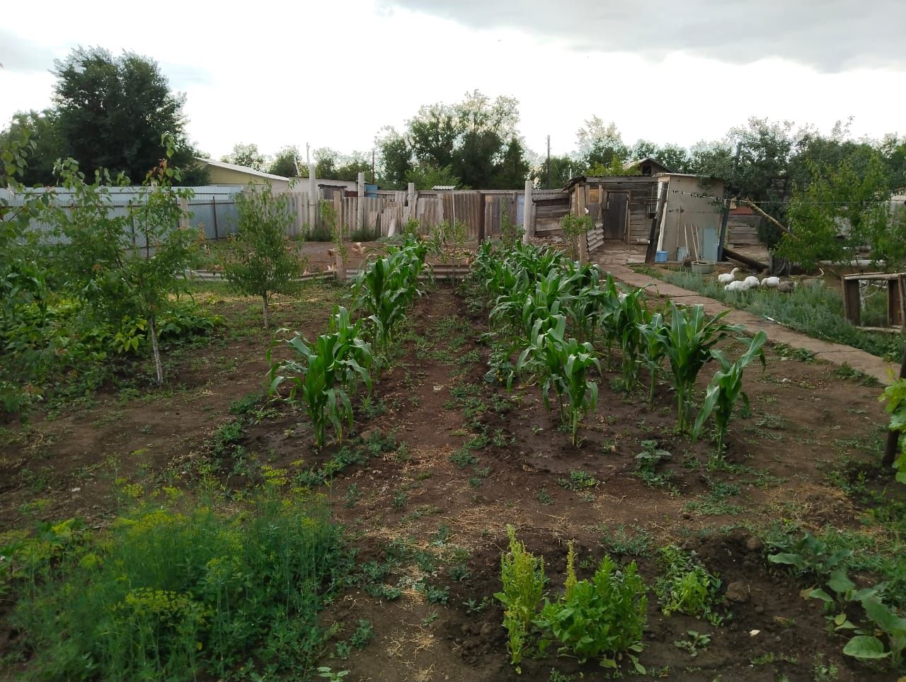 Продам дом срочно