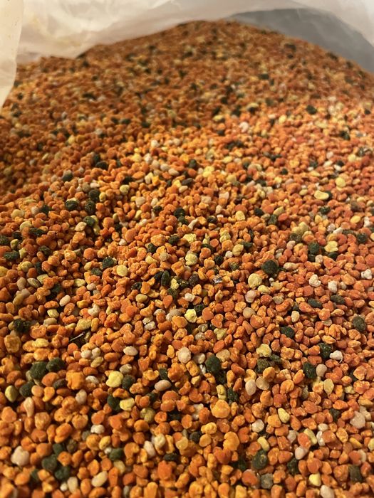 Vand polen crud de primavara