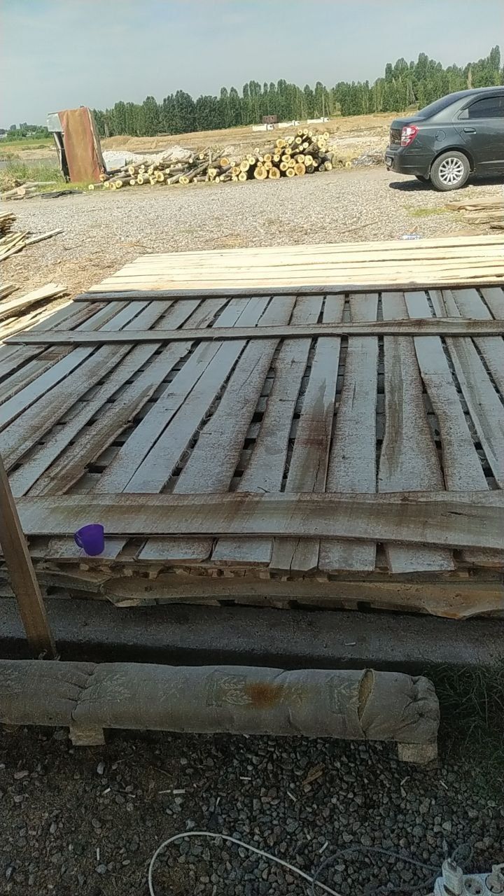Tusin strapila chorni potolok pilorama xizmat