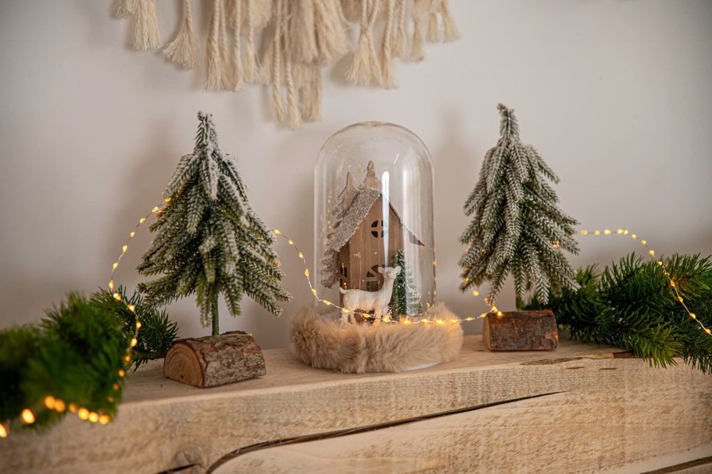 Коледна фотосесия от  150 ЛВ 2025 Варна