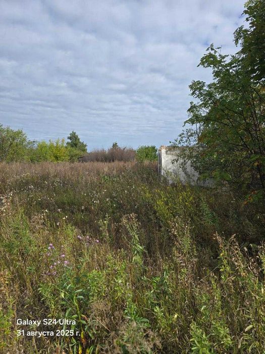 Продажа дачного участка