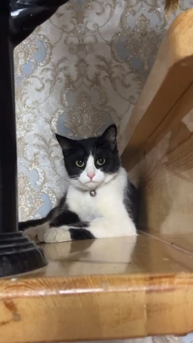 2 yosh qiz bola yaxshi insonlarga hadiya qilinadi