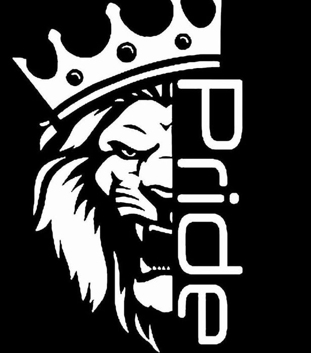 Наклейки на Авто | Наклейки на Заказ | Дублирующий Номер