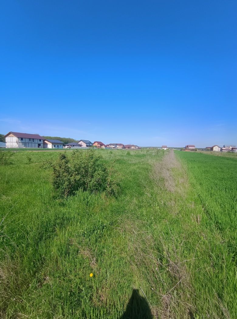 Vrei liniște și aer curat? Terenuri ideale pentru casă în Cosoba