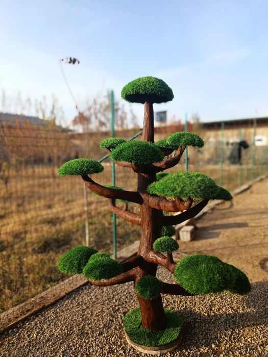 Декоративные растения, искусственные деревья!
Самый большой вы