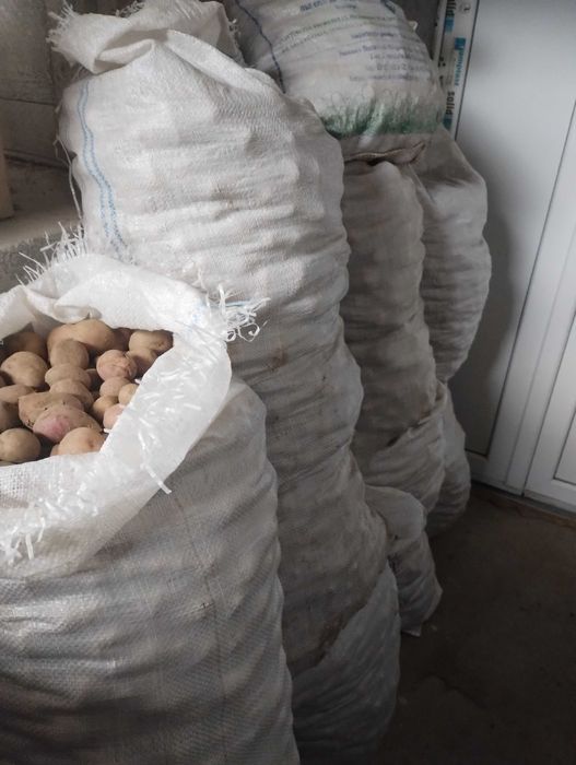 Cartofi mici pentru animale