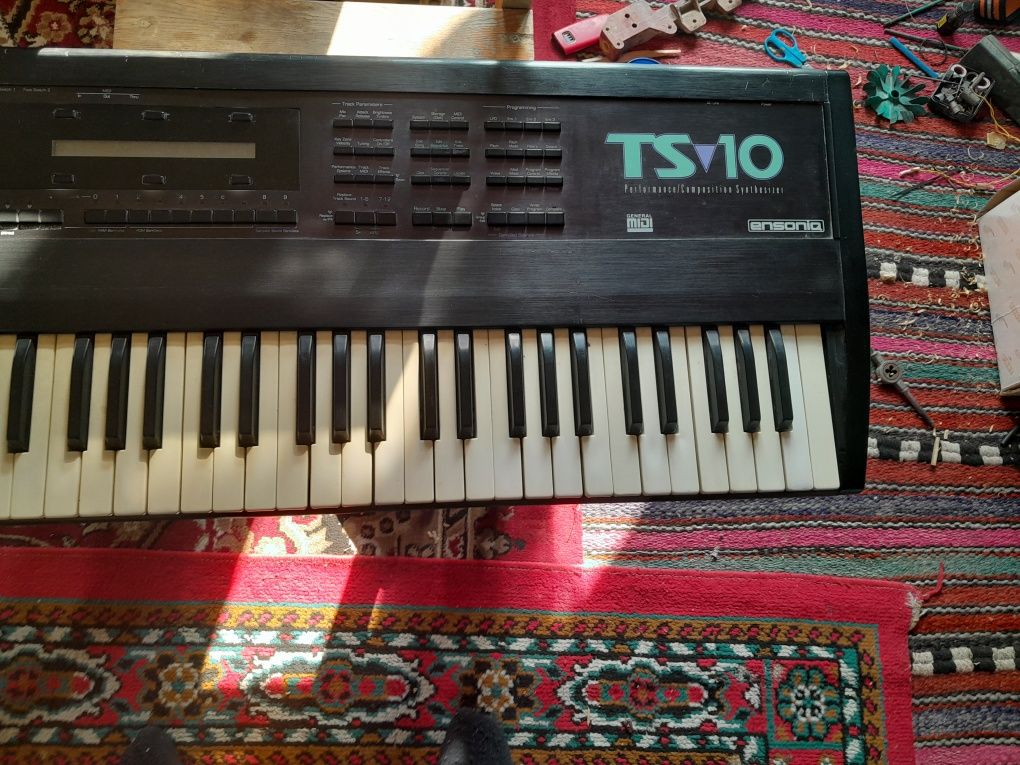 Ensonic ts 10 3.10 vrsya