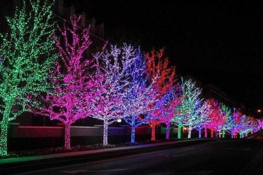 Гирлянда Все виды освещение есть! Оптом и в розницу доставка по РК2