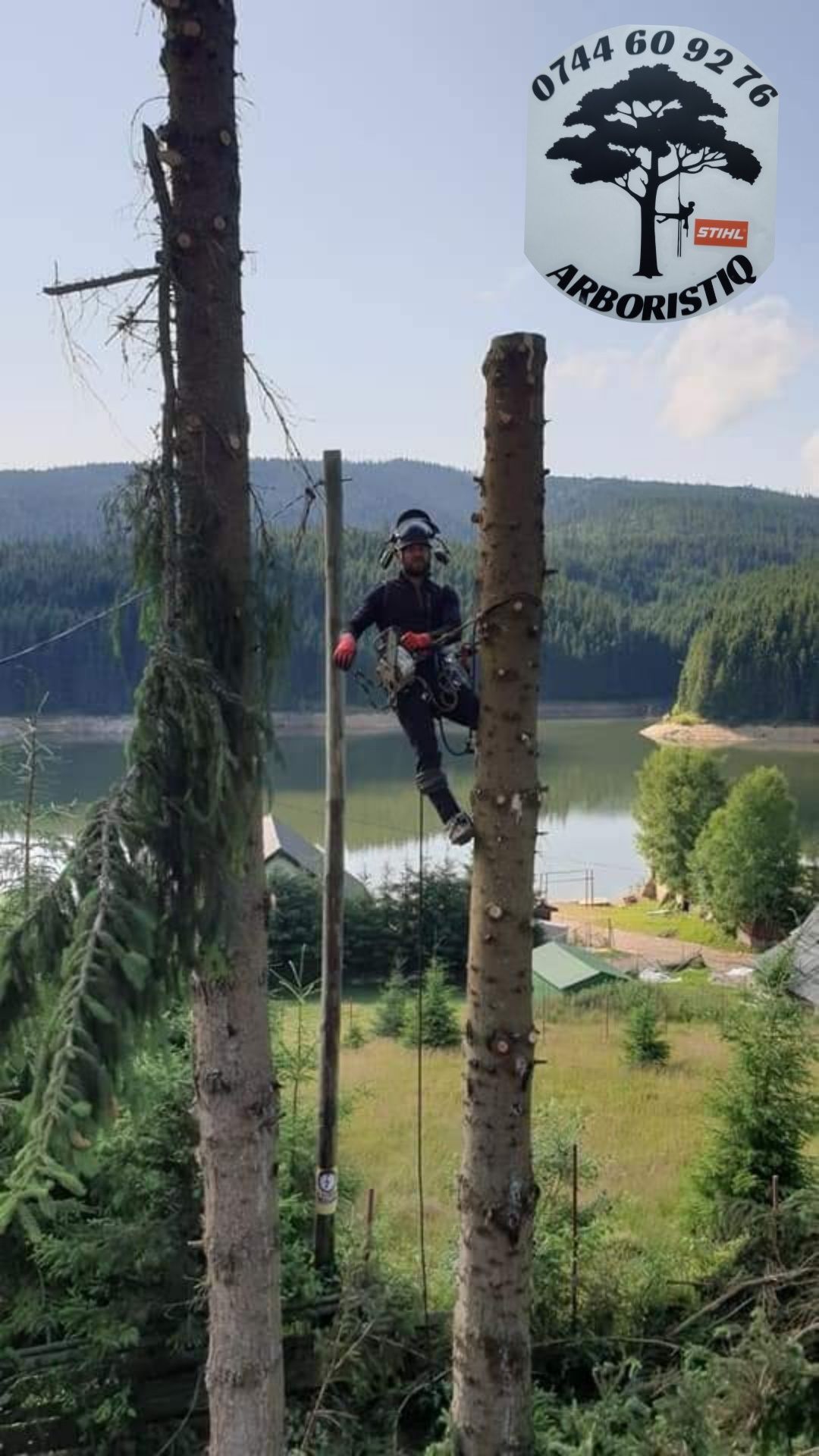 Toaletat doborât arbori/copaci alpiniști /alpinism utilitari/tocat