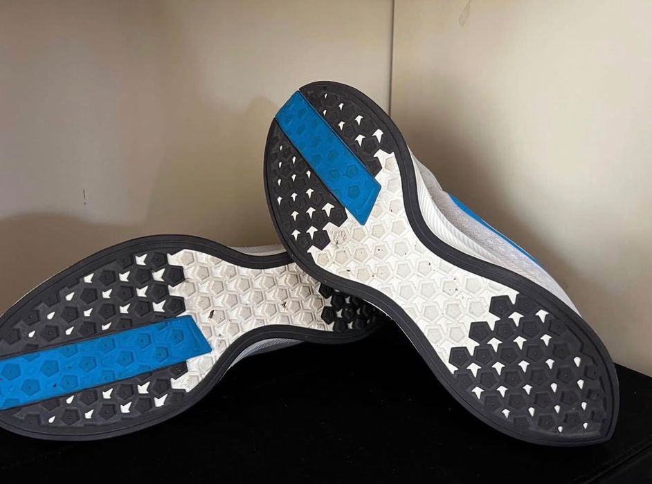 Nike zoom pegasus turbo