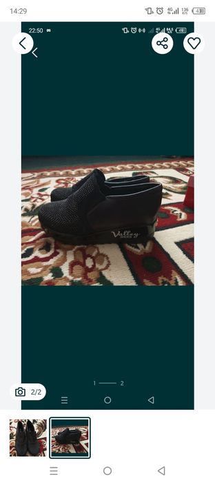 Ичлари михлий хозирги хавога иссик на киясила