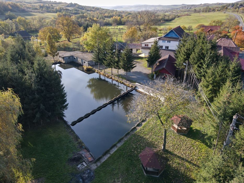 Revelion Cabana pensiune 30 de pers în Campu Cetății (Sovata, Praid)